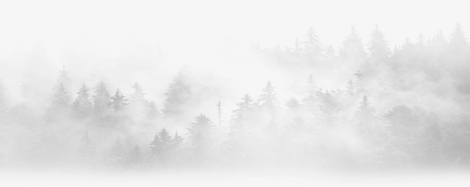 Trees BG