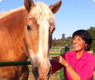 Libby Smith Ed.D, Ph.D Therapist at Holdfast Recovery Center