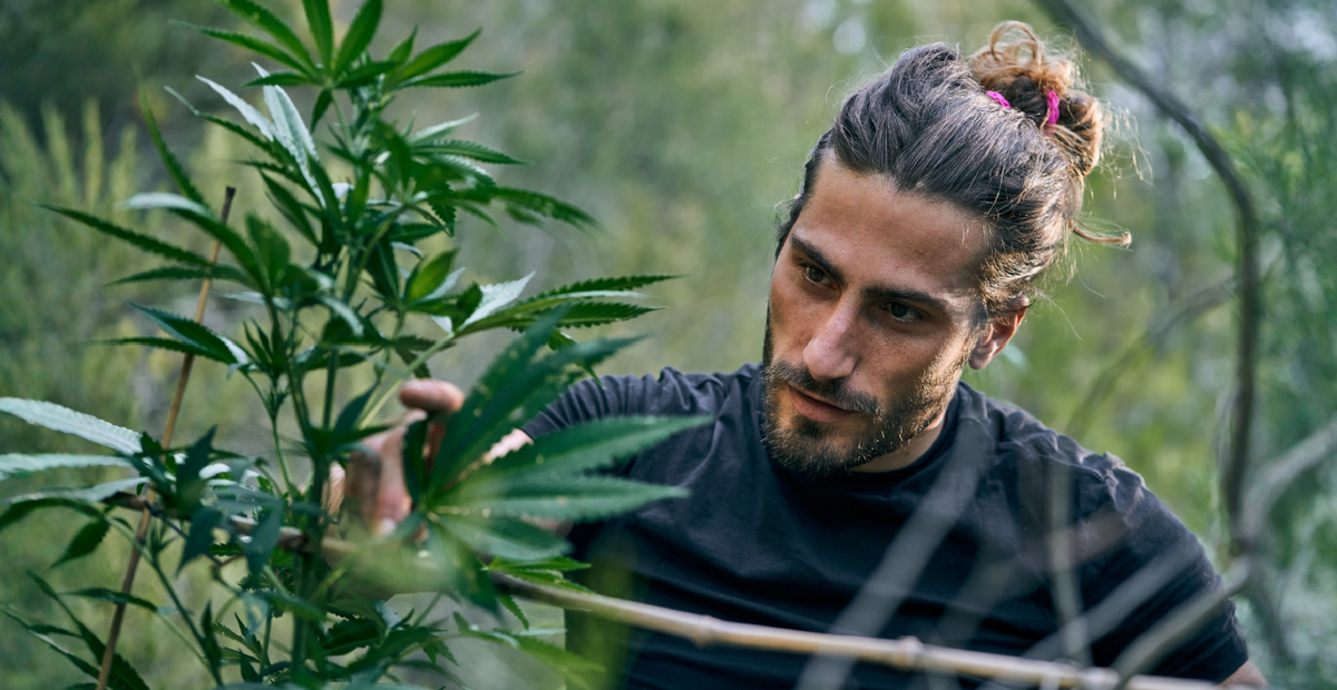 How 7-OH Interacts With Opioid Receptors