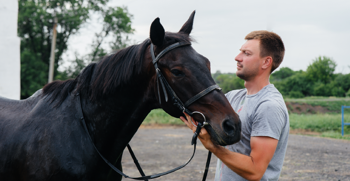 Is Equine Therapy Covered by Insurance